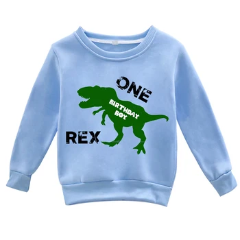 DIY Ime/Starost Majica za Rojstni dan po meri Živali dinozaver Hoodies Otroci Hoodie Fante Oblačila Baby Toddler Dekle Otrok Puloverju