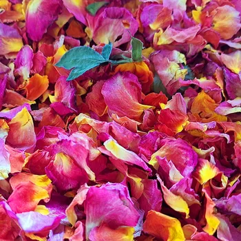 100 g Suhih cvetni listi Vrtnice Naravnih Cvet Kopeli, Spa Zob Tuš cvetnih listov Suho Kopanje Lajšanje Dišeče Telo Massager